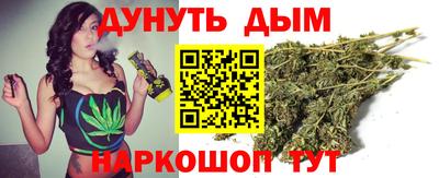 индика Пенза