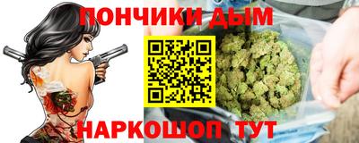 индика Пенза