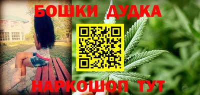 индика Пенза