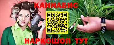 индика Пенза