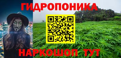 индика Пенза