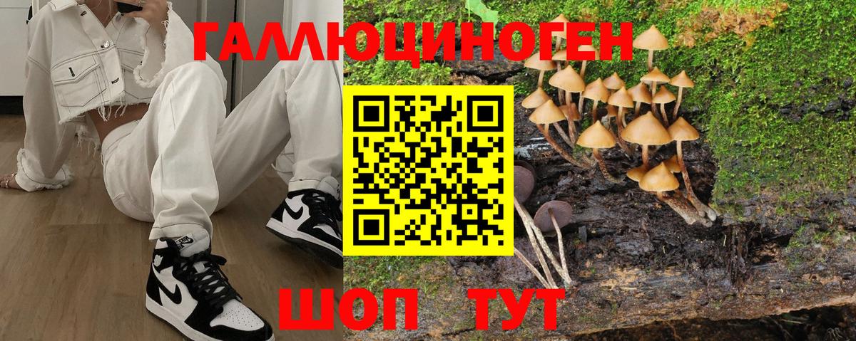 Псилоцибиновые грибы MAGIC MUSHROOMS Сорочинск