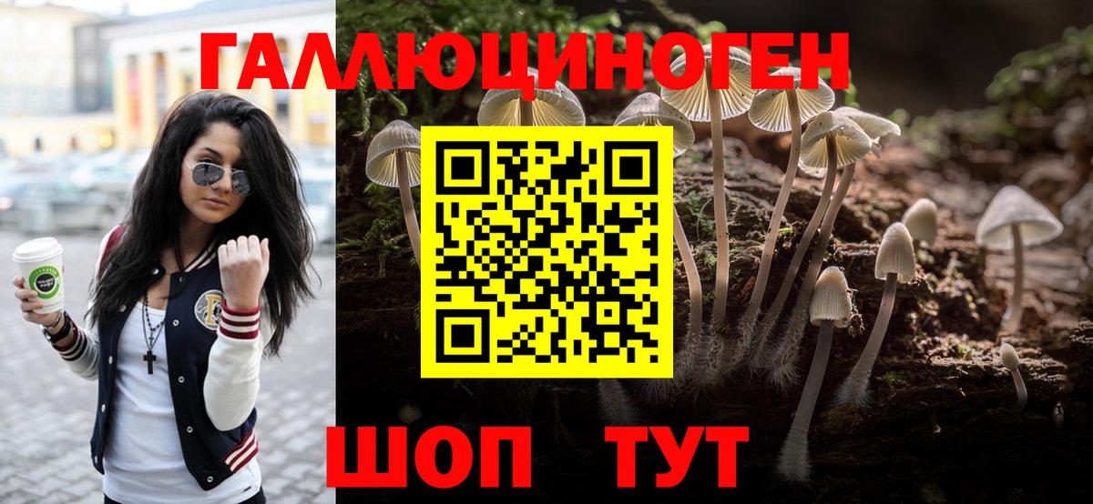 Псилоцибиновые грибы Magic Shrooms  Вход с VPN  Сорочинск 